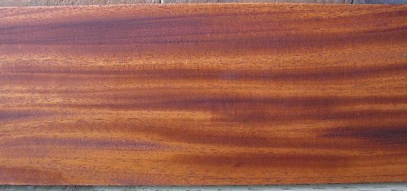 African mahogany